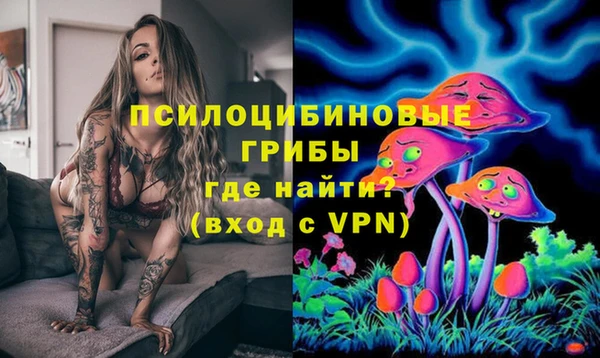 apvp Верхний Тагил