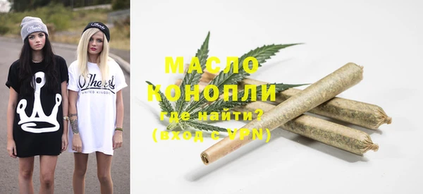 амф Бородино