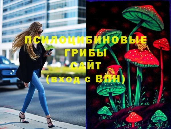 apvp Верхний Тагил