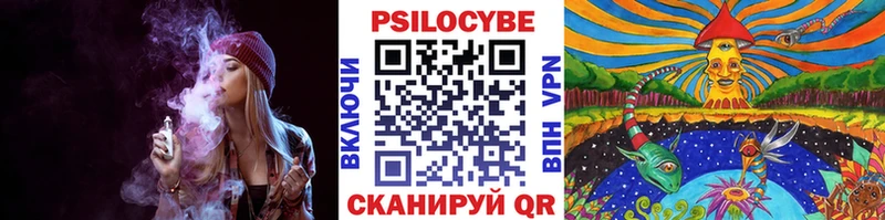 KRAKEN ТОР  Кемерово  Галлюциногенные грибы Magic Shrooms  купить  цена 